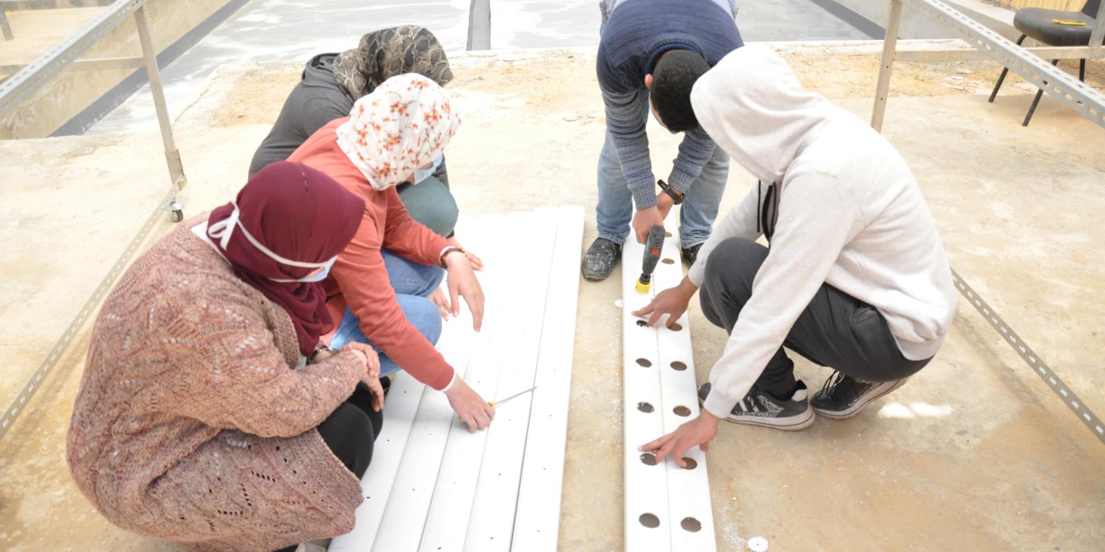 WEF students build a hydroponics system from scratch