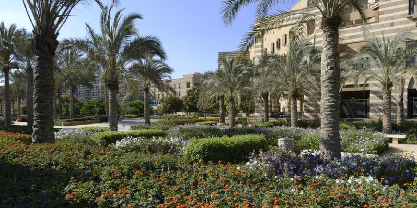 AUC Gardens