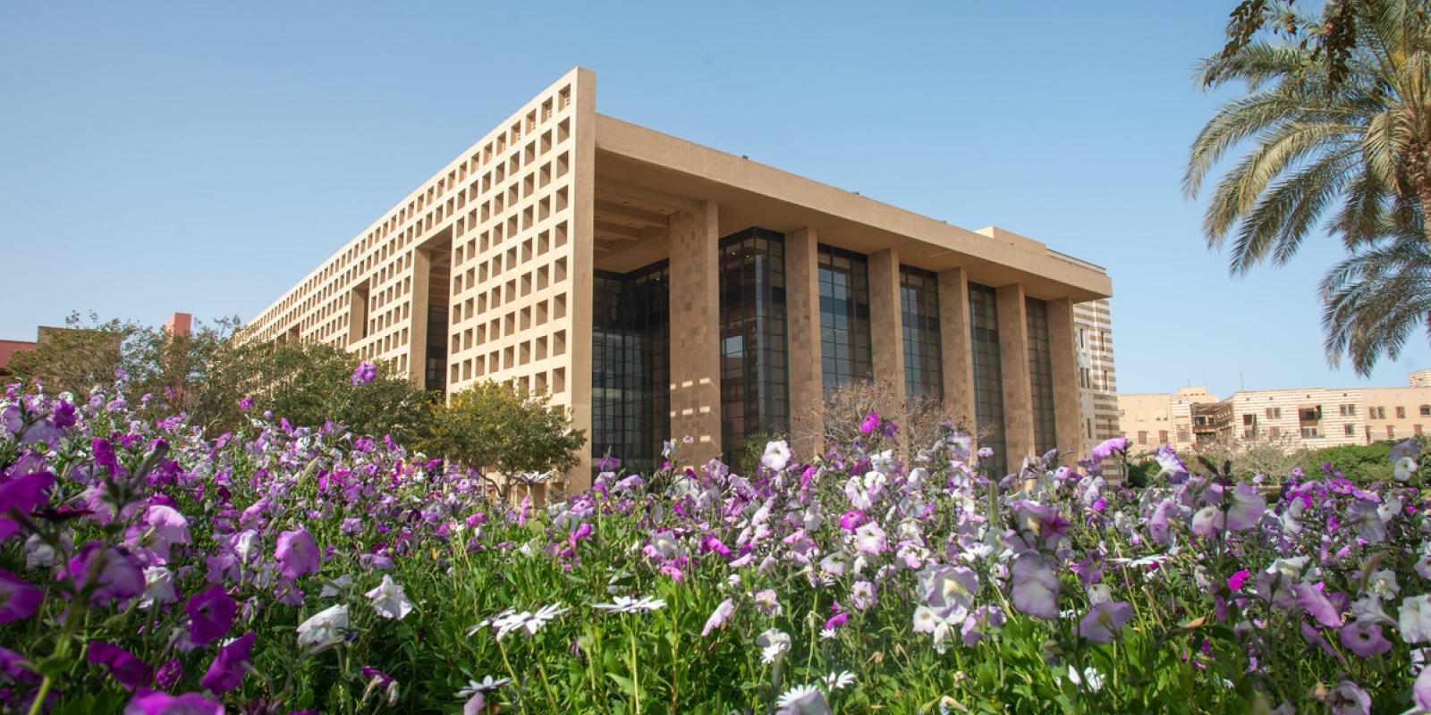 Flowers and Building