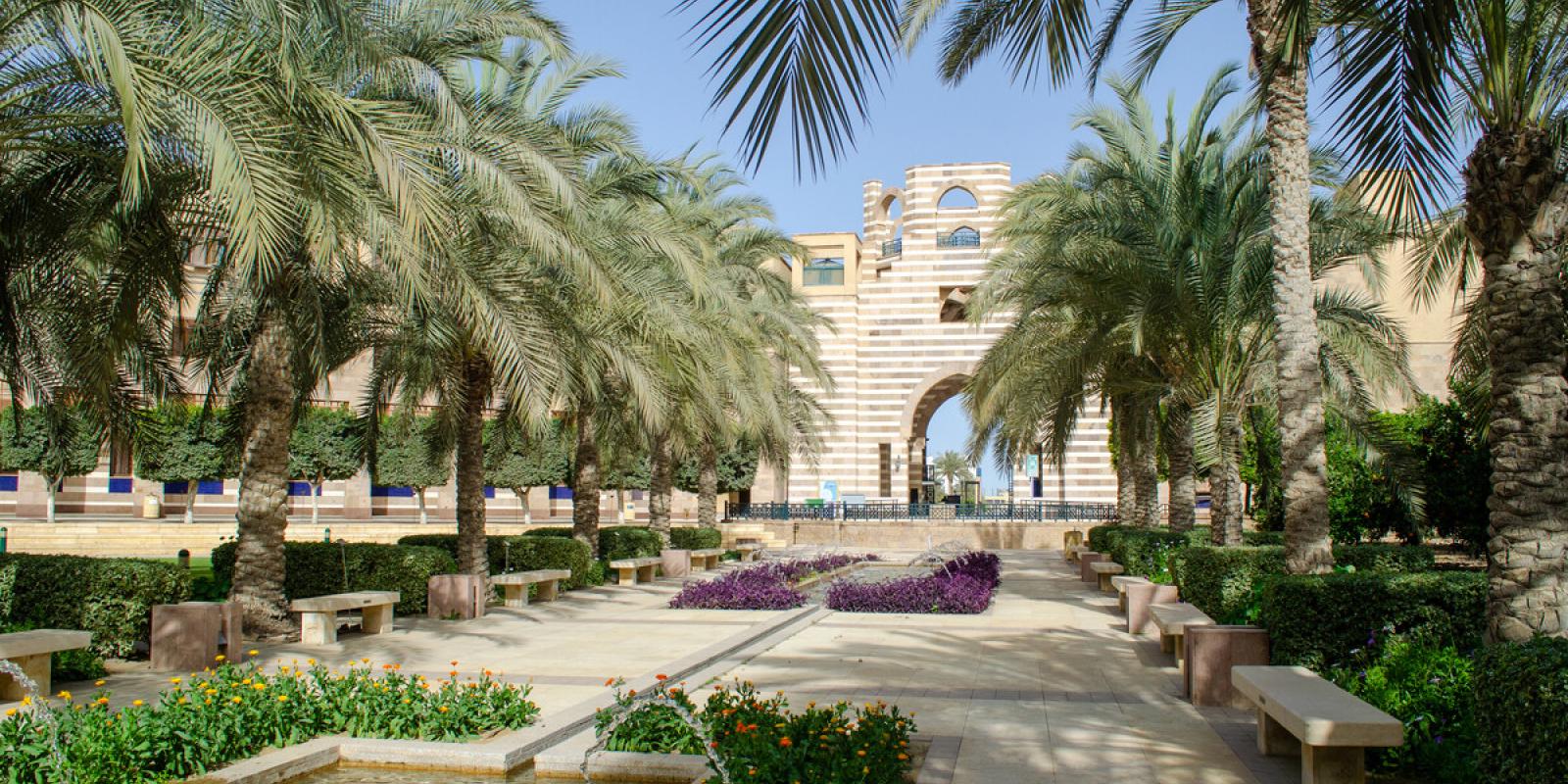 New Cairo Campus garden