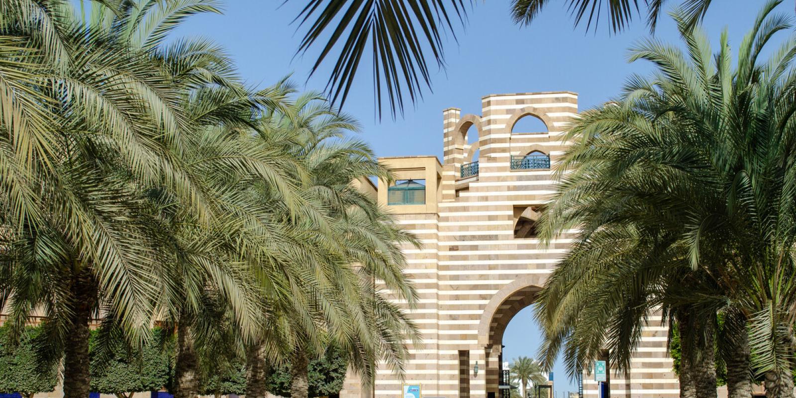 New Cairo Campus Garden