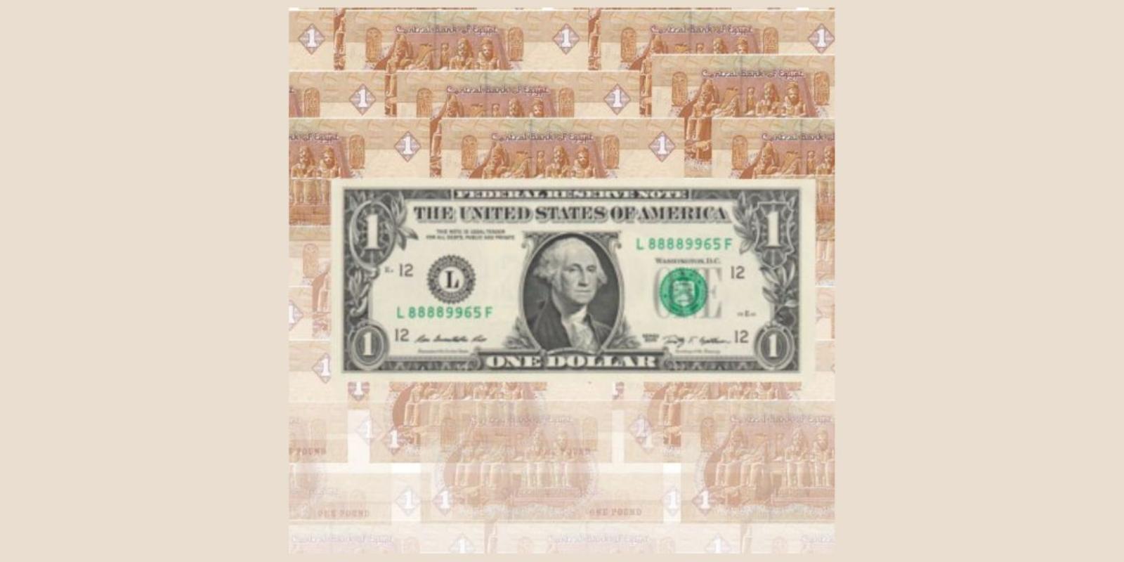 Photo shows multiple fading pictures of the Egyptian pound with a US dollar superimposed