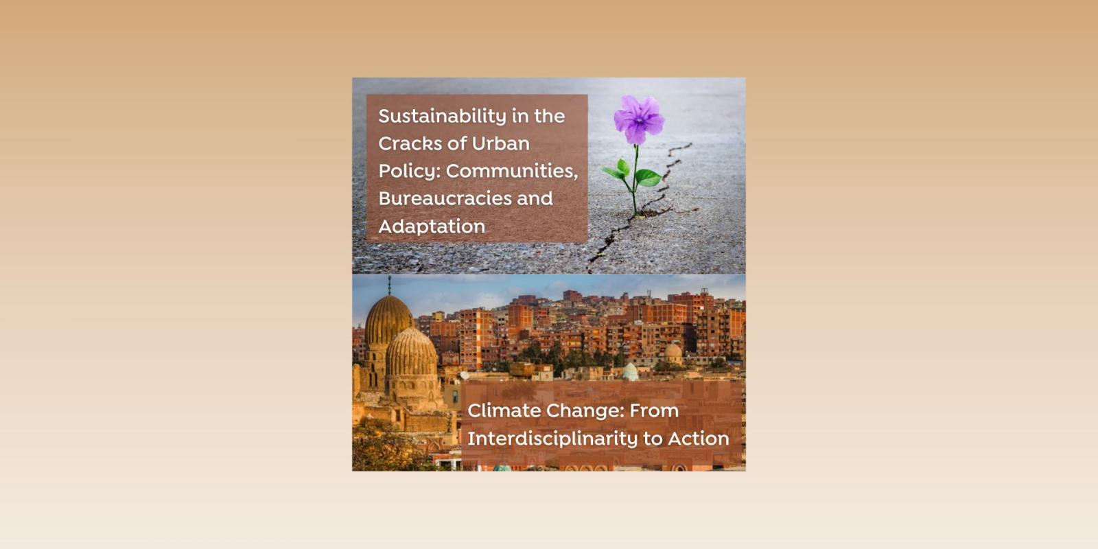 flower growing out of concrete and a cityscape of old Cairo near the citadel with new course titles: Sustainability in the Cracks of Urban Policy: Communities, Bureaucracies and Adaptation and Climate Change: From Interdisciplinarity to Action