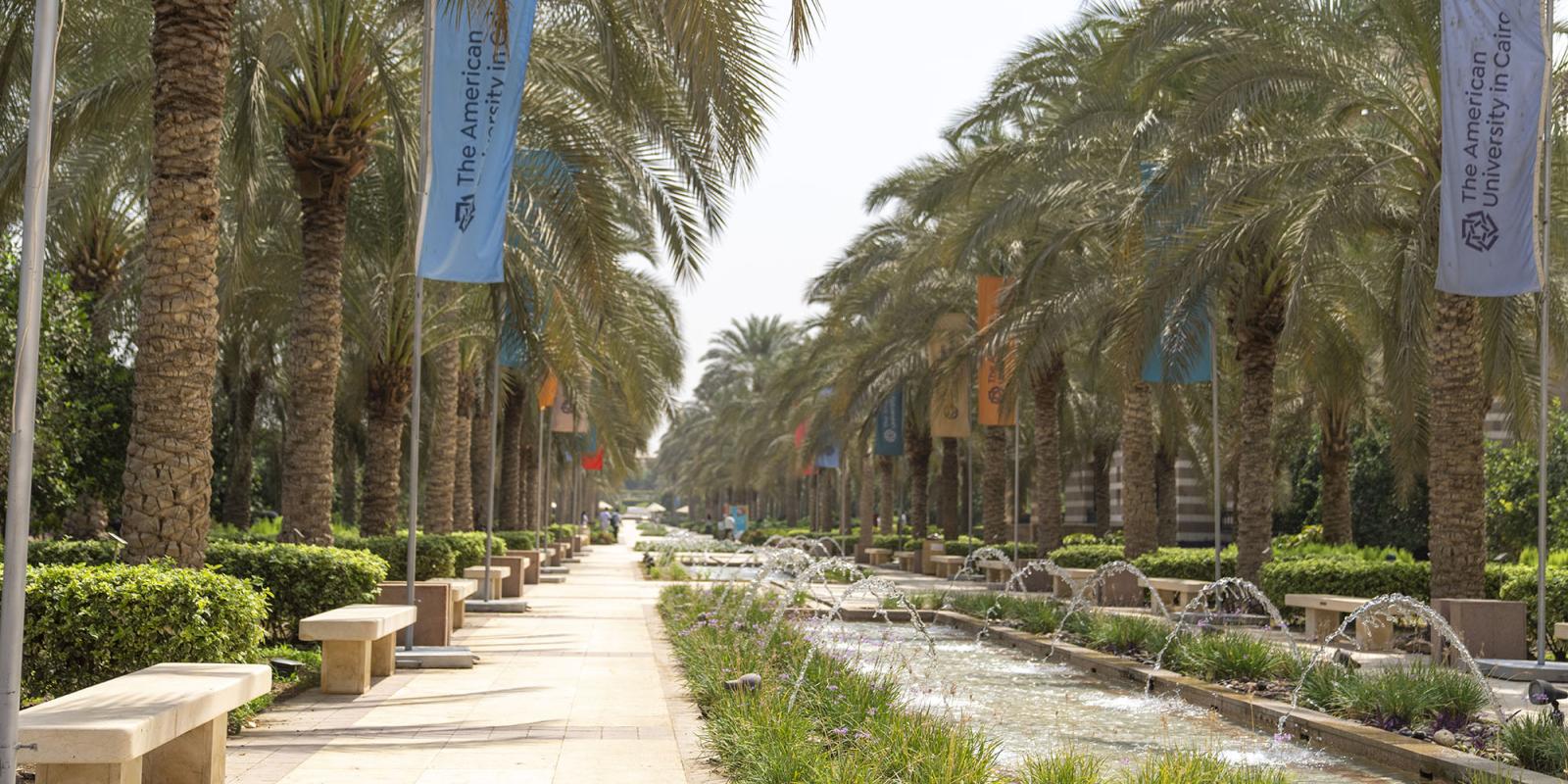 View of a water fountain and trees and benches on the side