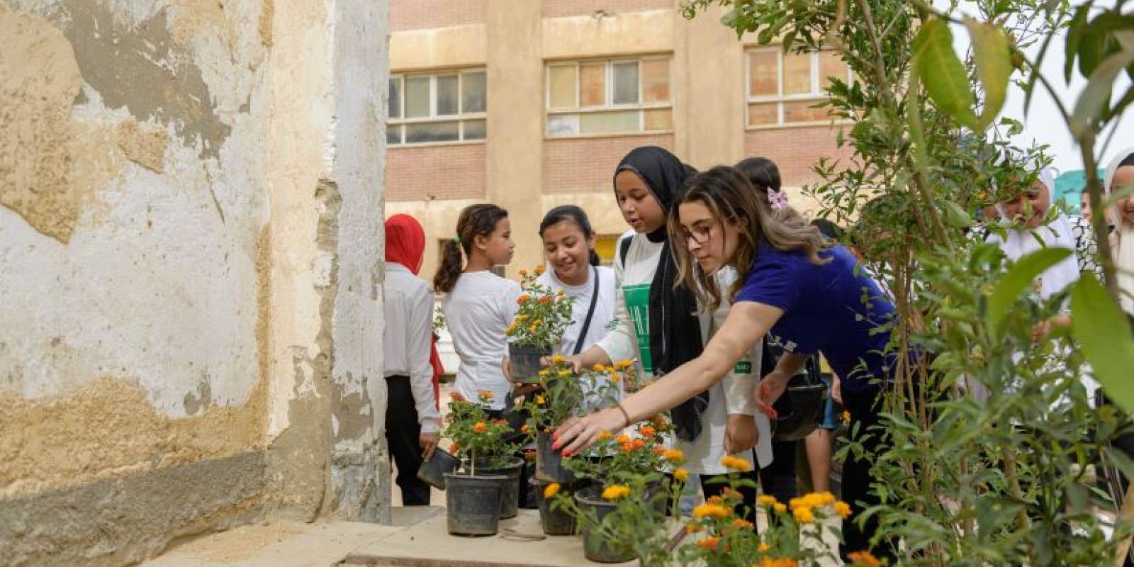 Students planting flowers at a school, as part of the collaboration between AUC and Ministry of Education