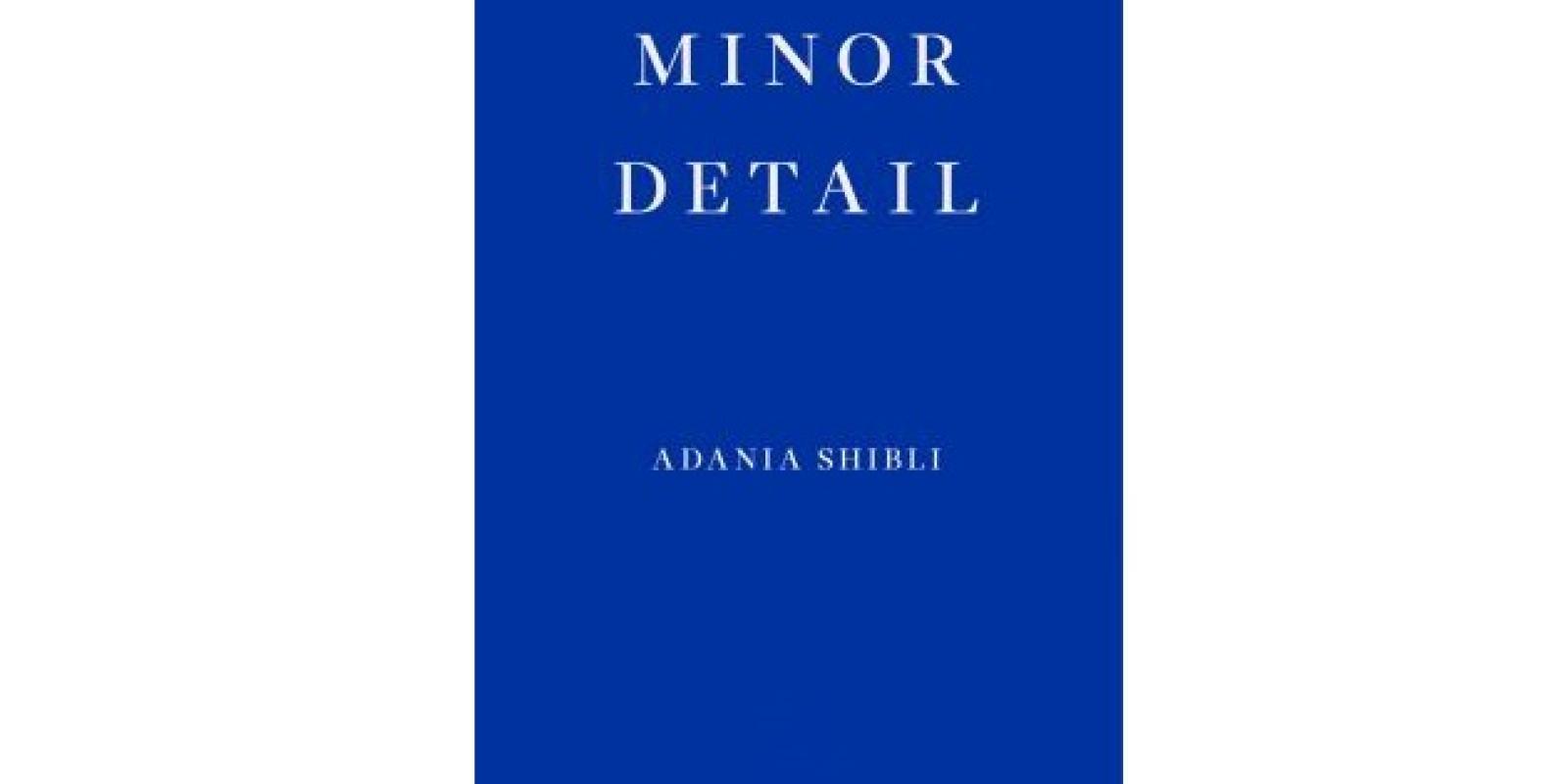 minor detail book cover