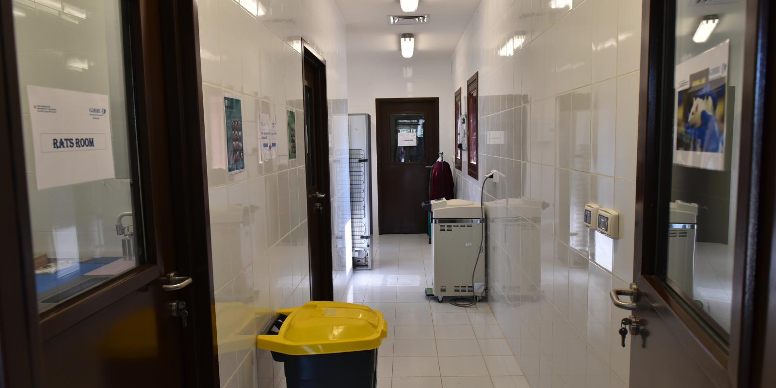 a corridor with multiple doors