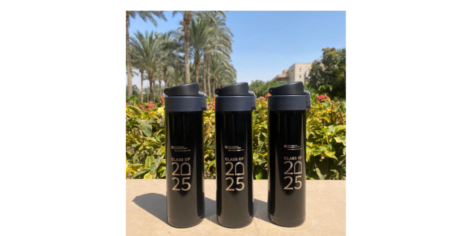 Class of 2025 Thermal Mug Giveaway