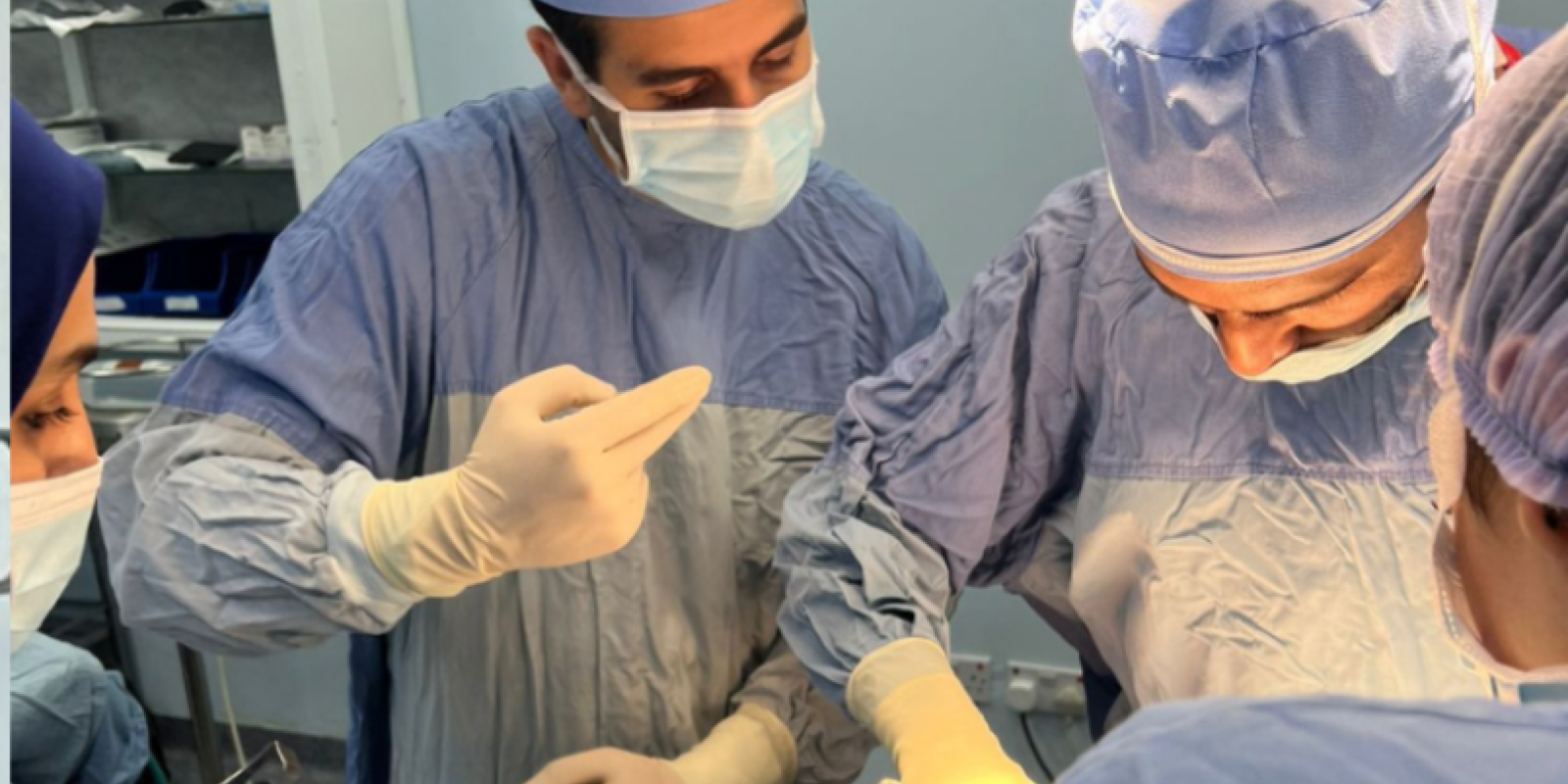 Students of AUC Premedical Track