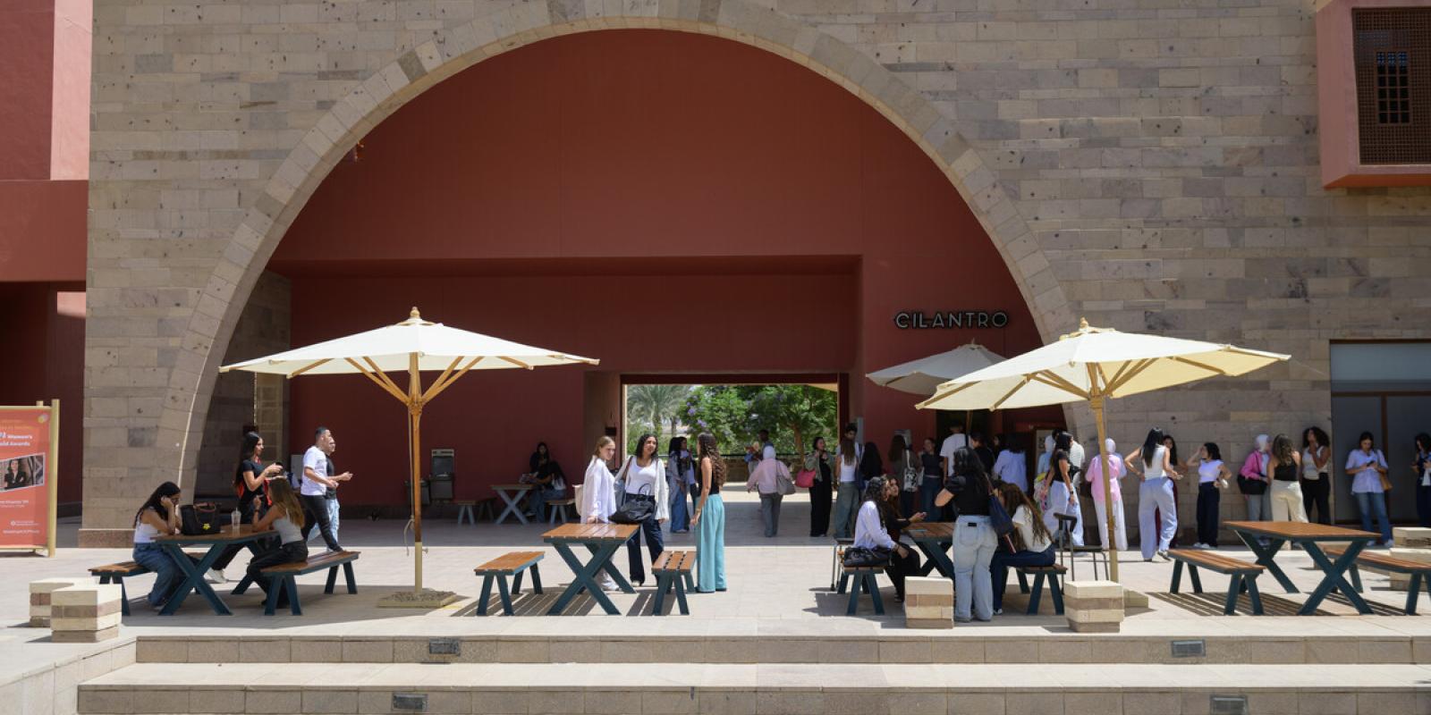 cilantro at auc 
