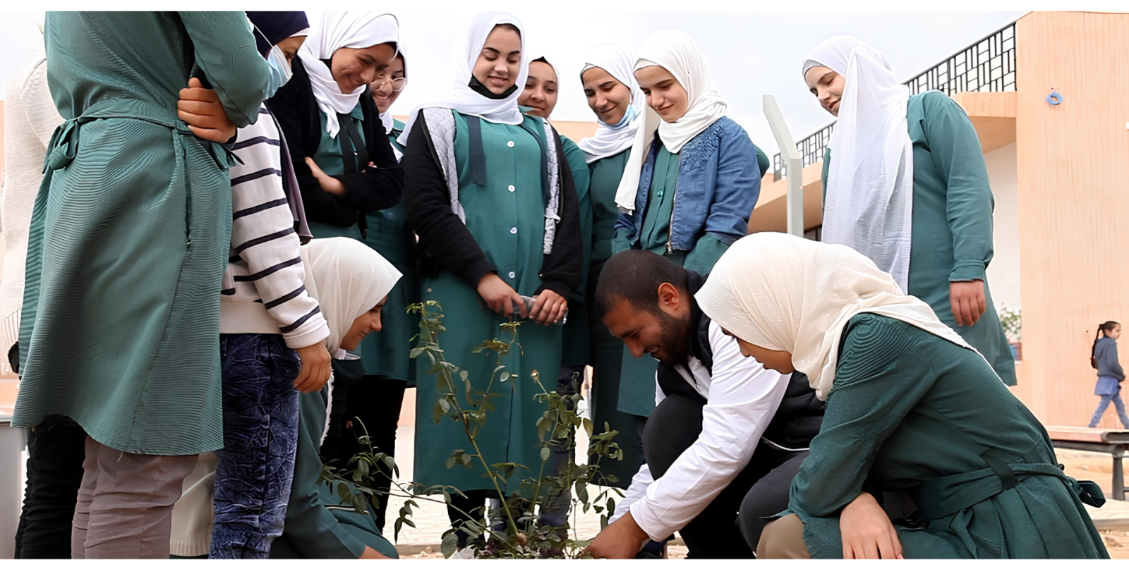 Azraq fund planting a tree