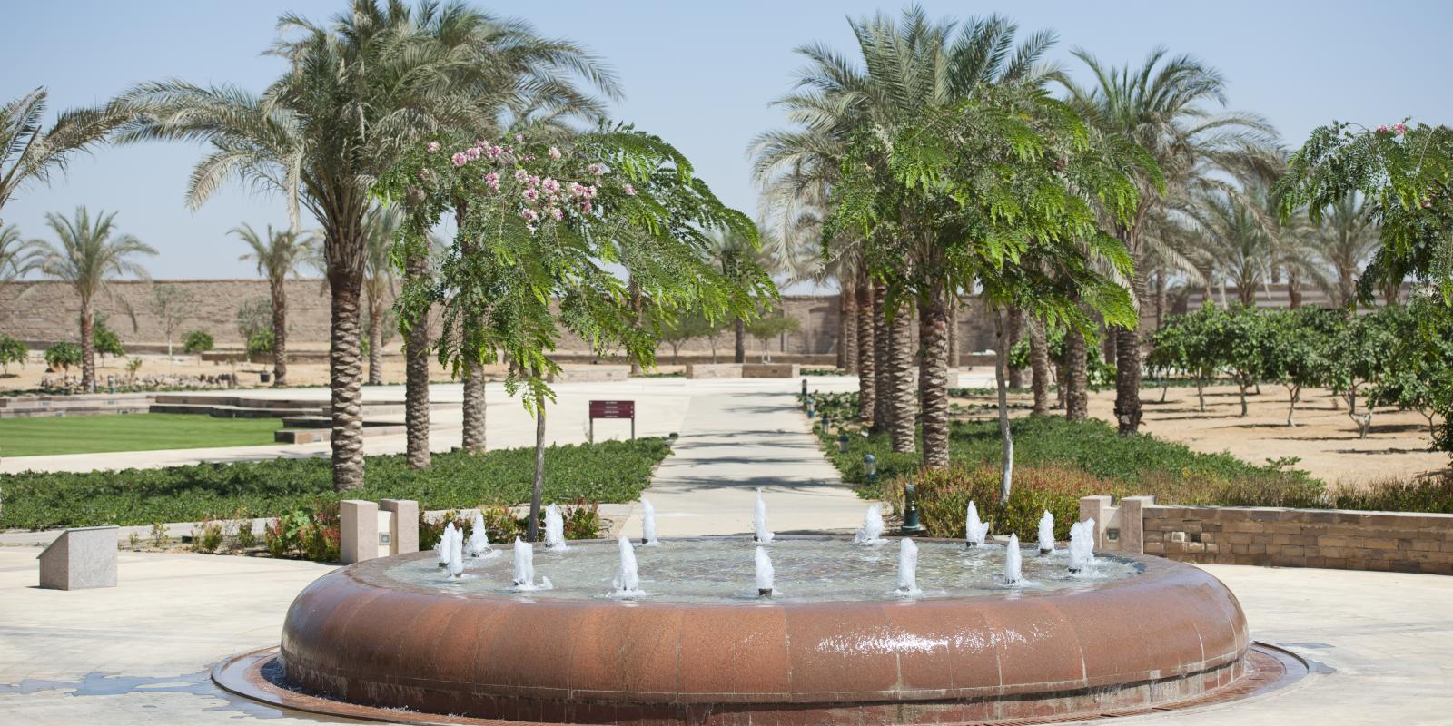 Aa fountain in the University garden surrounded by palm trees