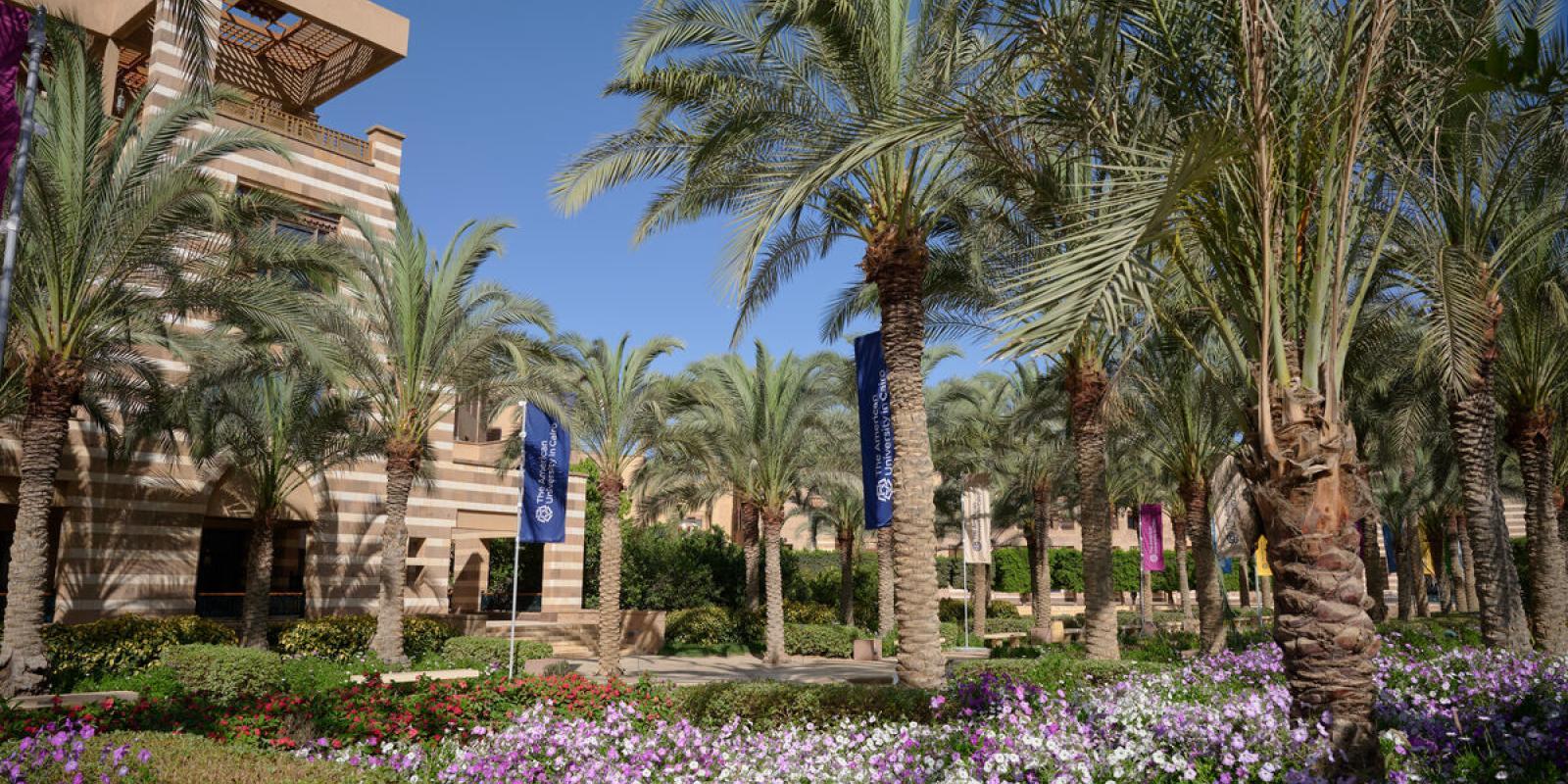 AUC garden 