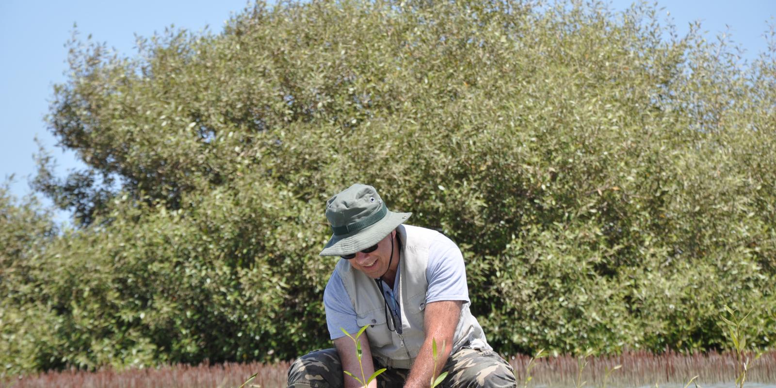 A man is crouched in the water planting. A large shrub is behind him