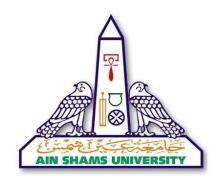 Ain Shams University