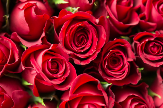 vday