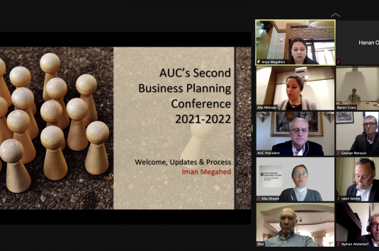 Strategic Planning Meeting Screenshot