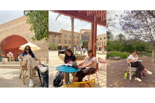 Three photos of students studying on campus. On the left, McDermott sits near Cilantro. In the center, McDermott and Corson sit outside the library. On the right, Corson sits in the garden under a purple flowering tree.