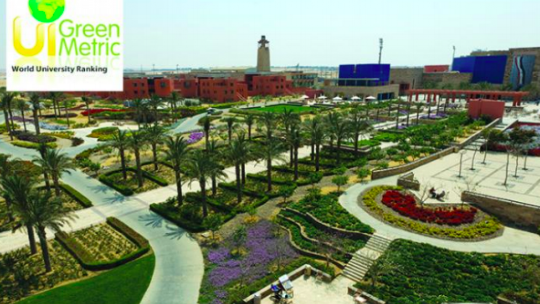 Greener Grass at AUC | The American University in Cairo