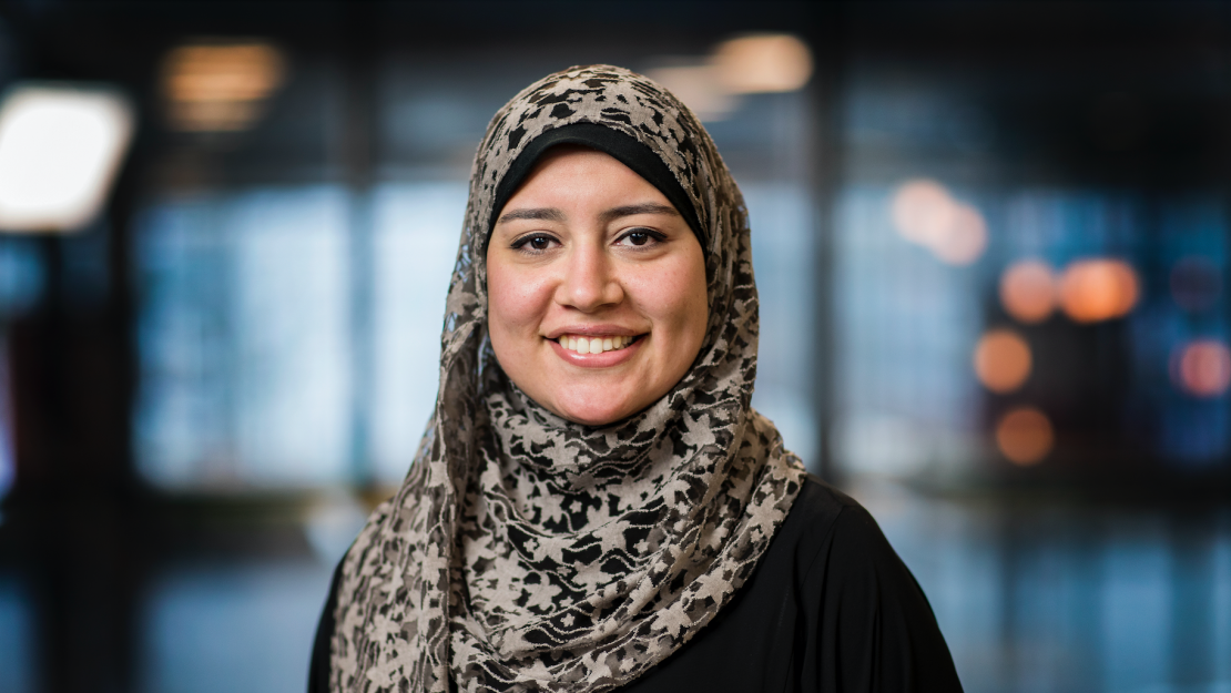 elhamfadaly