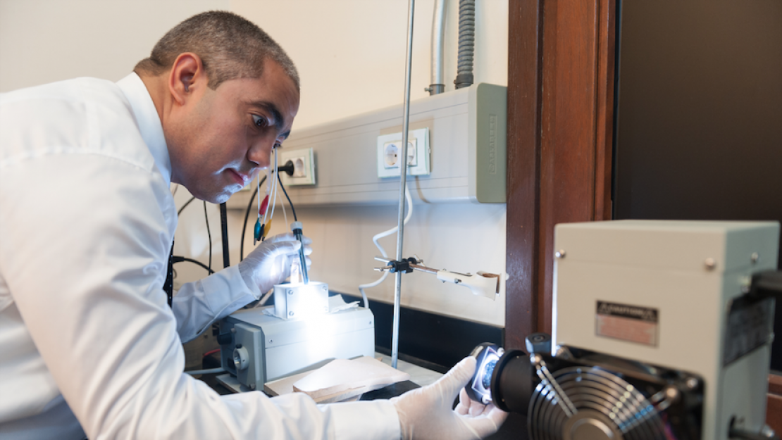  Nageh Allam, AUC professor of materials engineering