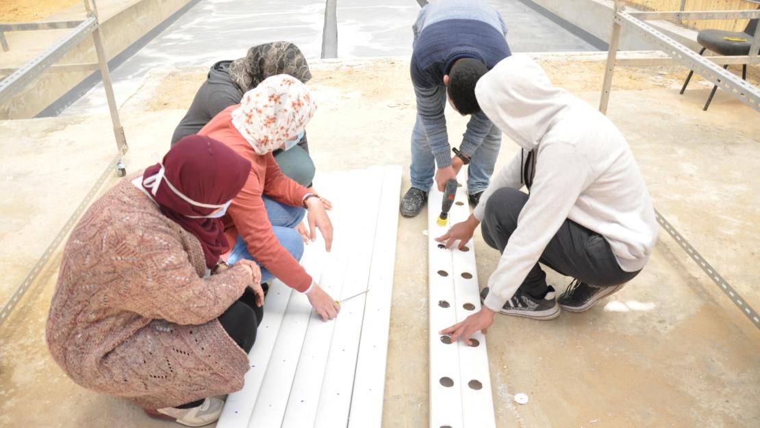 WEF students build a hydroponics system from scratch
