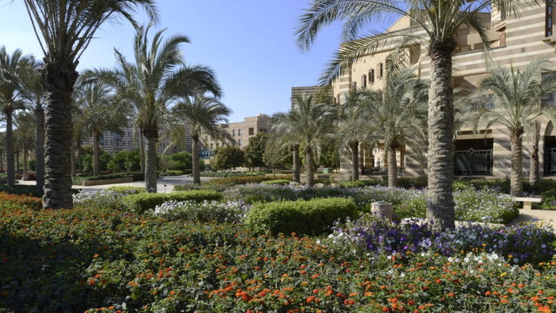 AUC Gardens