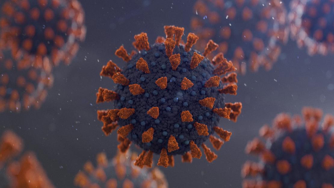 Coronavirus