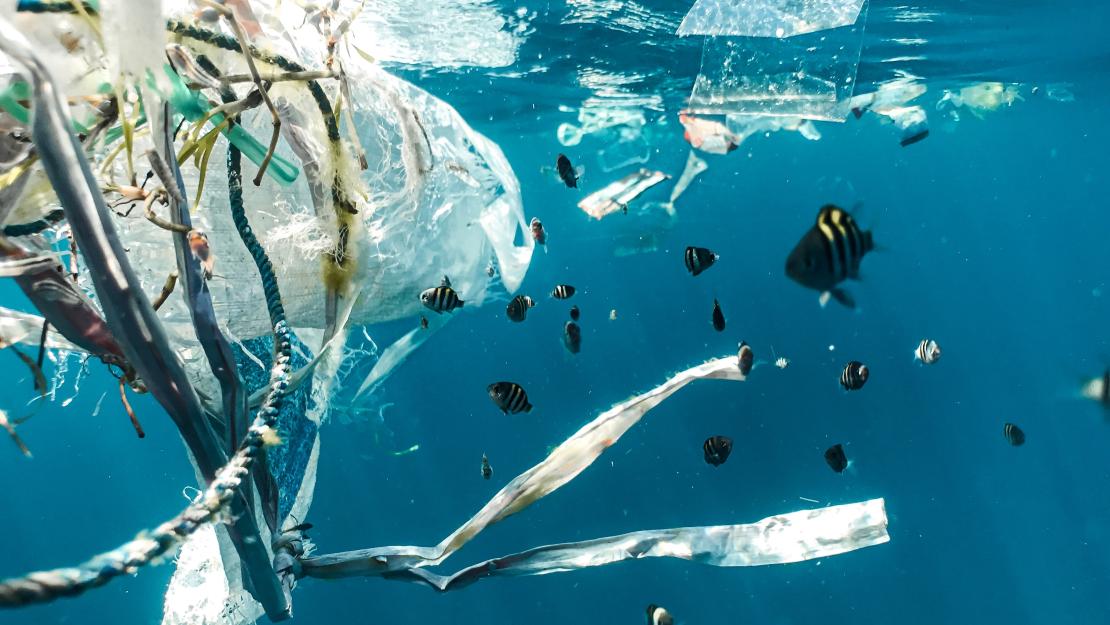 A fish swims around plastic pollution in the ocean