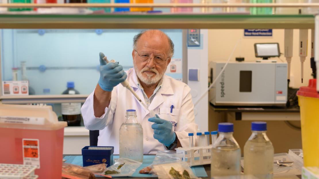 A scientist in a lab holding a test tube