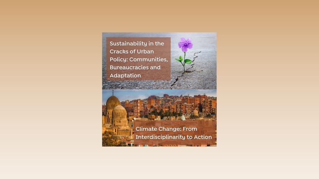 flower growing out of concrete and a cityscape of old Cairo near the citadel with new course titles: Sustainability in the Cracks of Urban Policy: Communities, Bureaucracies and Adaptation and Climate Change: From Interdisciplinarity to Action