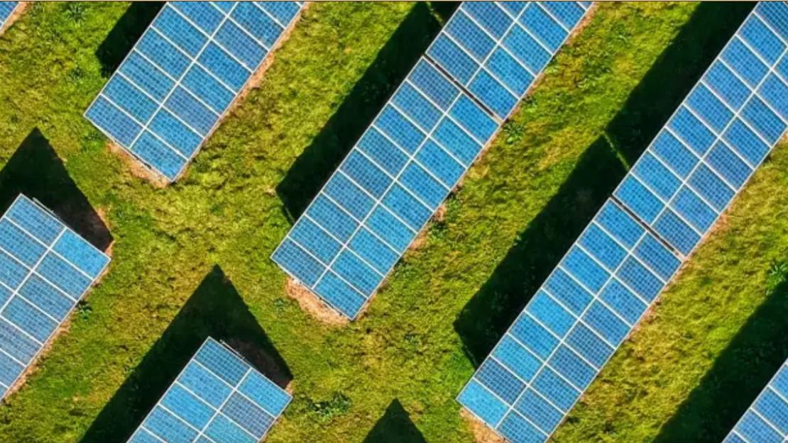 Solar panels and greenery