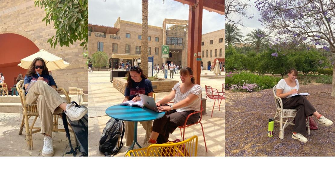 Three photos of students studying on campus. On the left, McDermott sits near Cilantro. In the center, McDermott and Corson sit outside the library. On the right, Corson sits in the garden under a purple flowering tree.