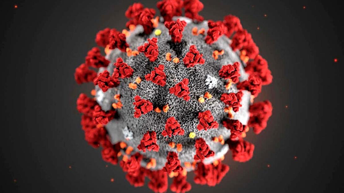 COVID-19 No Longer a Public Health Emergency: What's Next? | The American University in Cairo - Vimarsana News