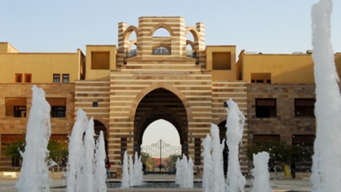 Business auc 4 year plan image