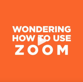 zoom