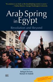 Arab Spring in Egypt: Revolution and Beyond