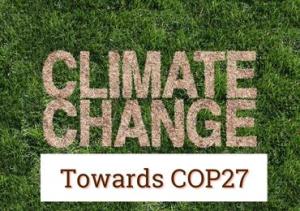 Greenery with the words Climate Change towards COP27