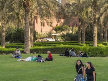 vertical view of a garden with students sitting and walking with palm trees in the background