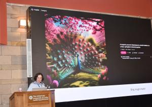 A woman is standing at a podium that reads "The American University in Cairo". There is a big screen behind her with a picture of a colorful peacock and text