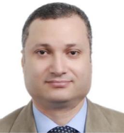 Mohamed Hamdy