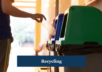 An arm is in front of garbage bins. Text: Recycling