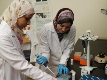 Students Laila Ziko and Nancy El-Baz work together on innovative research aimed at improving breast cancer treatments