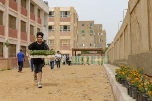 Seeds of Service