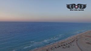sea_dusk_logo1_2.jpg Bird View Aerials exhibition at AUC's Photographic Gallery by Mohamed Abdel-Razek '14