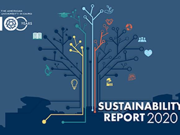 sustainability-report-2020