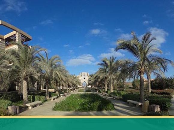 Panorama view of AUC garden. 