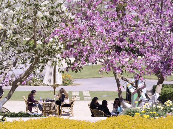 auc-campus-garden