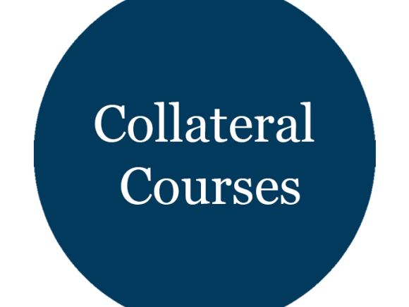 Collateral Courses AUC