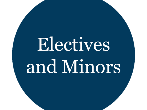 Electives and Minors AUC